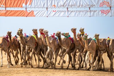 “النايفة” تنتزع نوماس اللقايا في الأشواط الصباحية .. وأفضل توقيت