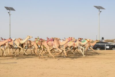 الأمريكي أبو ناصر.. بطل اليوم السادس بـ “هاتريك”