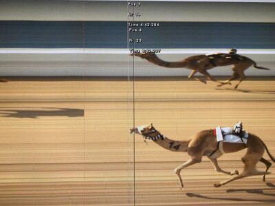 “..الفوتو فينش” تضبط خط النهاية في سباقات الهجن