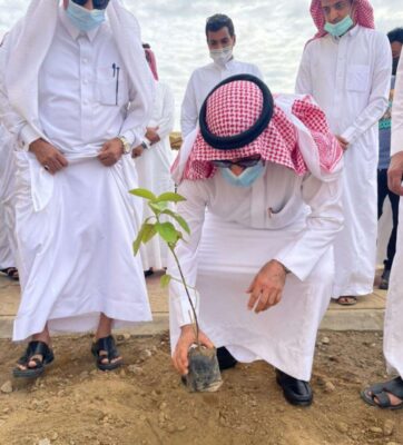 محافظ أبوعريش يُدشن حملة “لنجعلها خضراء”