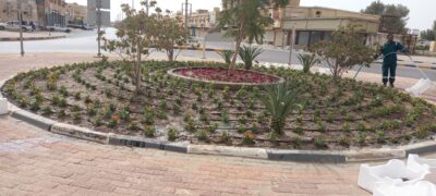 بلدية الخفجي: 100 ألف زهرة متنوعة تزين طرق وميادين المحافظة