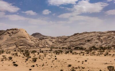 ننميها للغد”.. حملة توعوية يطلقها مركز “الغطاء النباتي” للحفاظ على المراعي وتنميتها