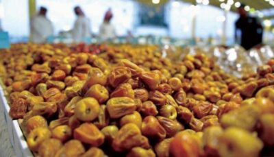 ارتفاع صادرات المملكة من التمور إلى نحو 1.3 مليار ريال في 2022