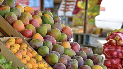 مقومات طبيعية فريدة.. جازان تنتج 118 طنًا من المانجو والفواكه الاستوائية سنويًا