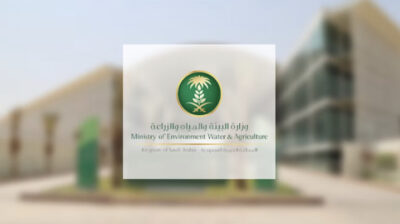 “بيئة مكة”: فسح أكثر من مليون و400 ألف رأس من الماشية خلال ذي القعدة