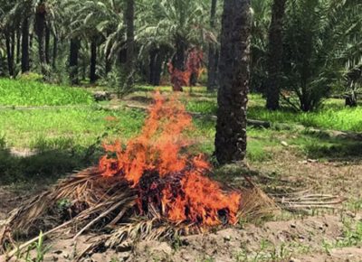 “استثمرها ولا تحرقها” حملة إرشادية توعوية ببيئة الشرقية