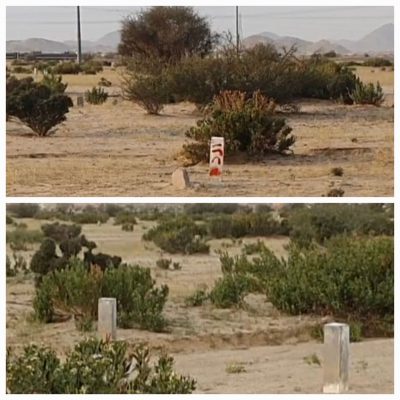 وادي السرح .. بعد مئتي عام من الحماية.. قراءة تاريخية بيئية