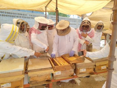 في القطيف.. مكتب وزارة البيئة والمياه والزراعة بالمحافظة يقف على مبادرة عسل المانجروف الرابعة