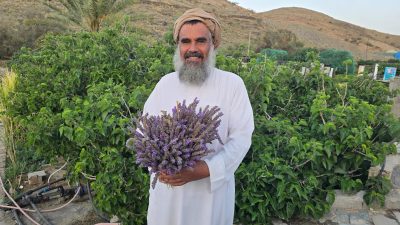 الذهب البنفسجي” يكسو جبال السروات.. والطائف ترتدي ثوب اللافندر السياحي