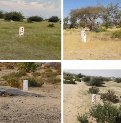 وداعًا… محمية وادي السرح!