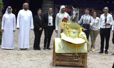 مربط دبي يجدد حضوره الذهبي في بطولة الجديدة بالمغرب