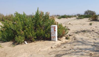 التطوير العقاري .. بين التنمية والاستدامة: شراكة مؤسسية واجتماعية..في استثمارها