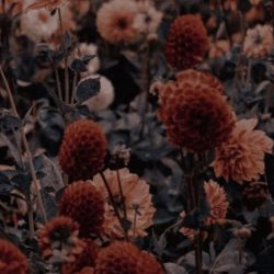 الإخلاص في العمل: ميثاق نجاح وأمان