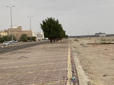 بدء إزالة فوانيس وإنارة ممشى مدينة الجشة تمهيدًا للتطوير