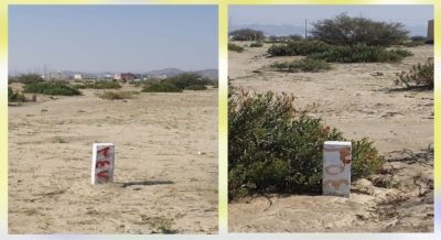 مقال بيئي يسلّط الضوء على أهمية حماية الغطاء النباتي والحد من التمدد العمراني