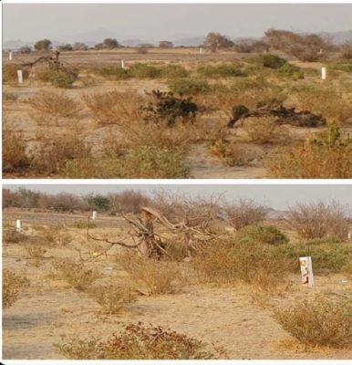 تعقيب على مقال ..وادي السرح وموسم الصيف..دعوة لحماية الغطاء النباتي