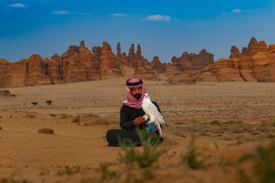 العُلا تتحول لميدان تنافس في أكبر مسابقة صقور بالعالم