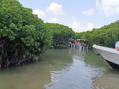 مجموعة “اجتمعنا بعد طول غياب” تستمتع بجولة شتوية في جزر فرسان
