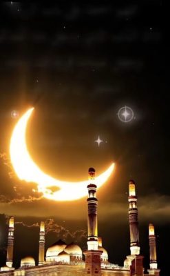 (الحلقة الخامسة والعشرون)  تدبر القرآن الكريم  