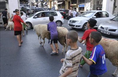العيد الكبير في الجزائر…عادات وتقاليد