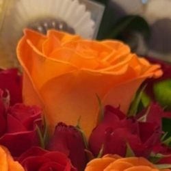 تونس تحتضن نجوم ‘أم الألعاب’ الجدد