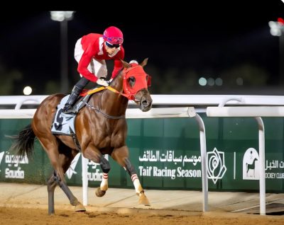المهر “نيو تاون رنر” بطل لكأس الطائف للسرعة