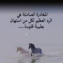 ذكرى نصر أكتوبر.. إرادة جيل تحدى المستحيل