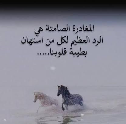 العظماء لا يُكسرون