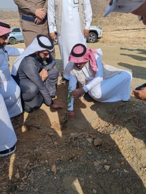 تفعيل مبادرة تشجير متنزه السدر بالمجاردة ضمن موسم التشجير الوطني 2025 – 2026م