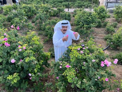 الورد الطائفي.. من مزارع الجبال إلى العالمية يتجاوز 64 مليون ريال في السوق المحلي