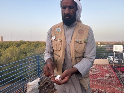 انتاج “الأراك” بمياه البحر “منتج” سعودي