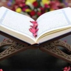 (الكشاف) .. بيته العالم؛ وأهله البشر.