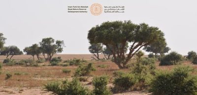 محمية الإمام تركي بن عبدالله الملكية تفعّل اليوم الدولي للصحة النباتية 2024