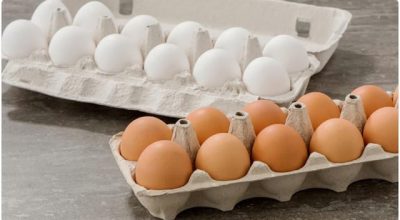 أخصائية: البيض المسلوق أفضل خيار للبروتين صباحا