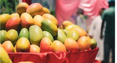 ضمن حملة «موسم حصادها».. وزارة البيئة تستعرض الفوائد الصحية لفاكهة المانجو