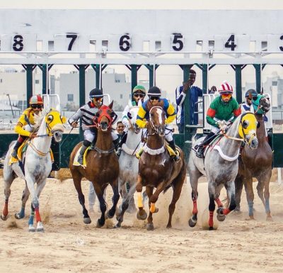 20 جوادًا يحققون مراكز متقدمة في الحفل الرابع بميدان فروسية الدمام