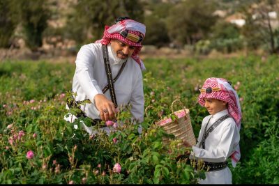 ورد الطائف.. مخمل وردي يصافح السحاب ويعلن بدء موسم الجمال