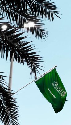 “فجر التوحيد.. من قلب الصحراء إلى بناء المملكة”