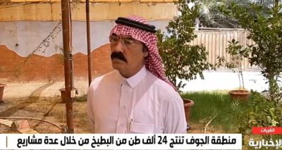 المعروض في الطرقات.. مختص: تَعَرُّض “البطيخ” لأشعة الشمس يتسبب في إفساده