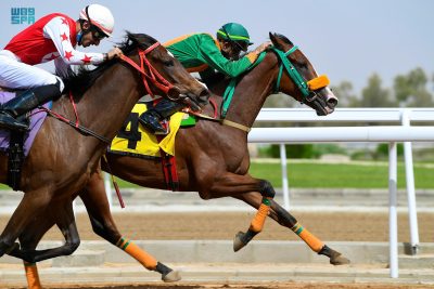 خيل الطائف تجري إلى كؤوس اليوم الوطني والملك فيصل وابنه عبدالله